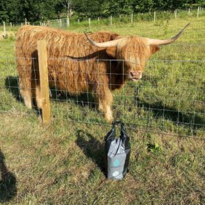 Drybag in the Highlands